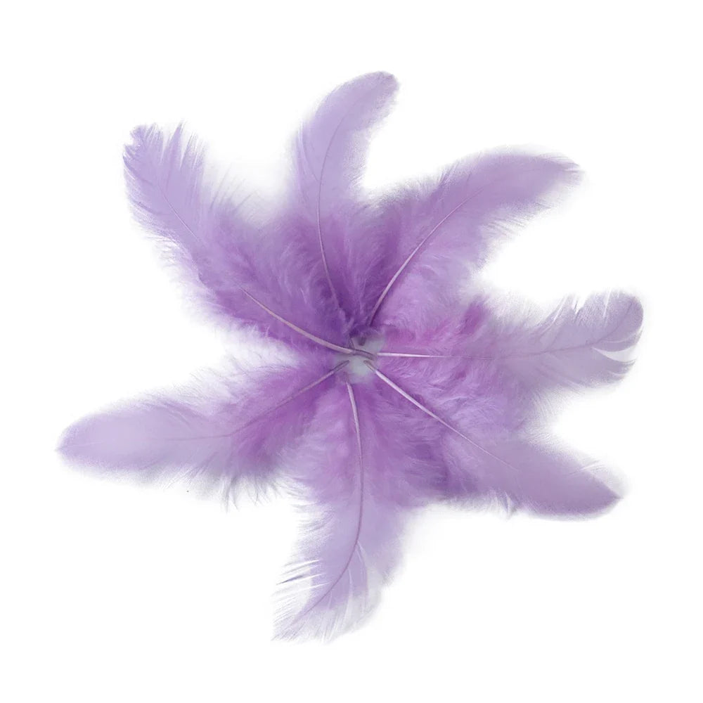 Natural Rooster Craft Feathers Bulk Lot