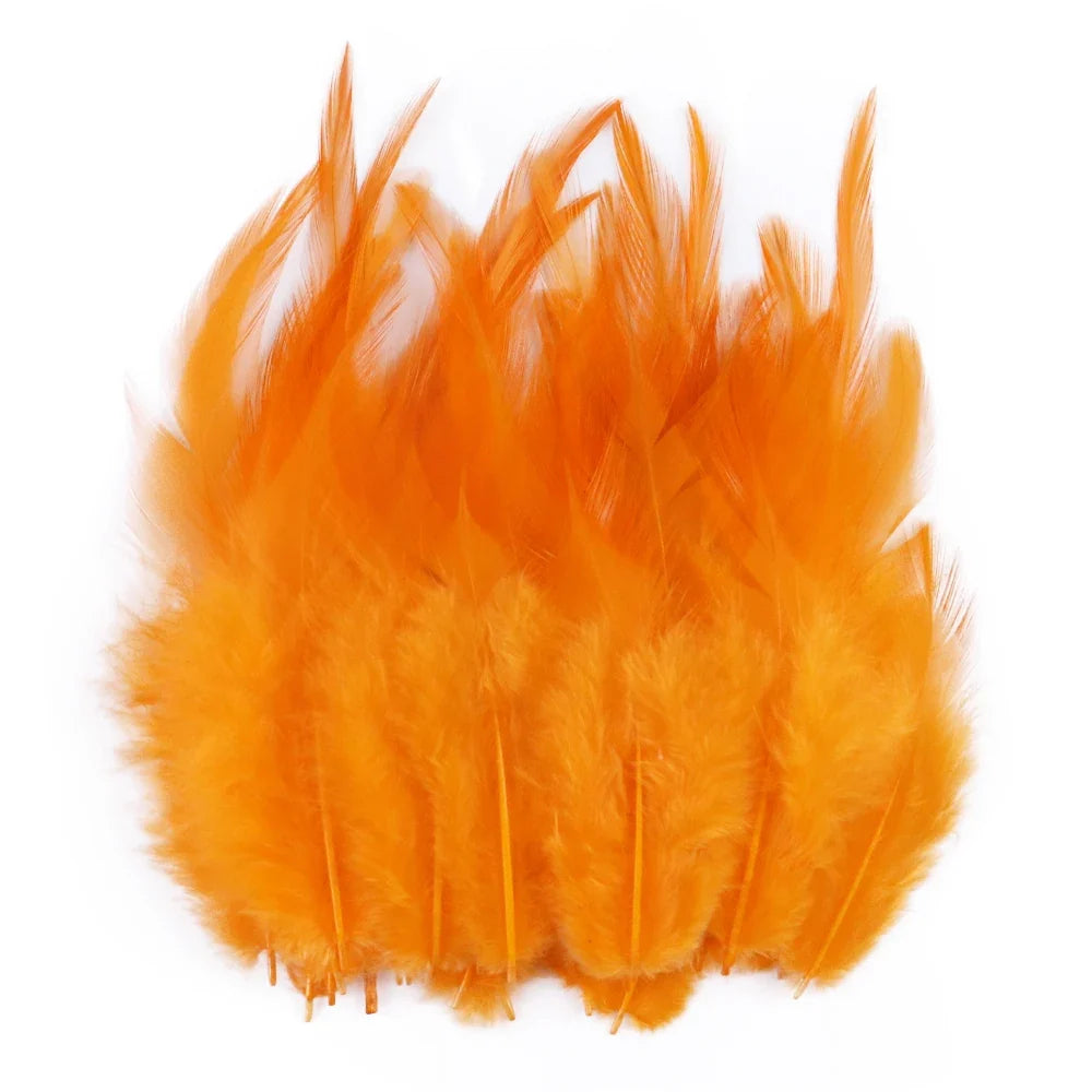 Natural Pheasant & Chicken Craft Feathers Bulk Lot