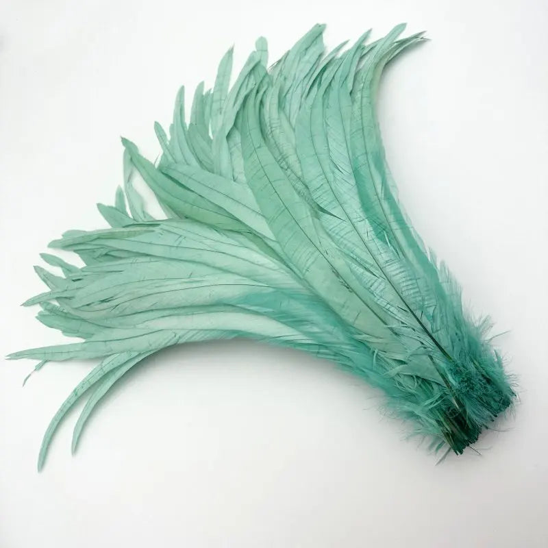 50PCS Two-Tone Rooster Tail Feathers (35-40CM)