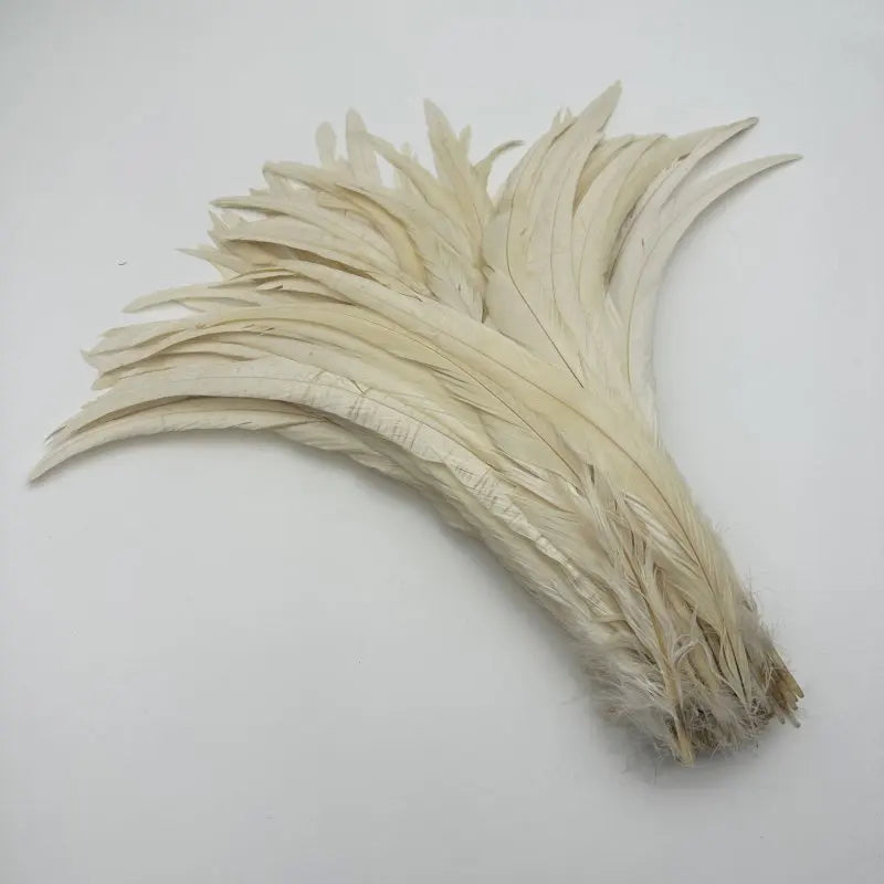50PCS Two-Tone Rooster Tail Feathers (35-40CM)