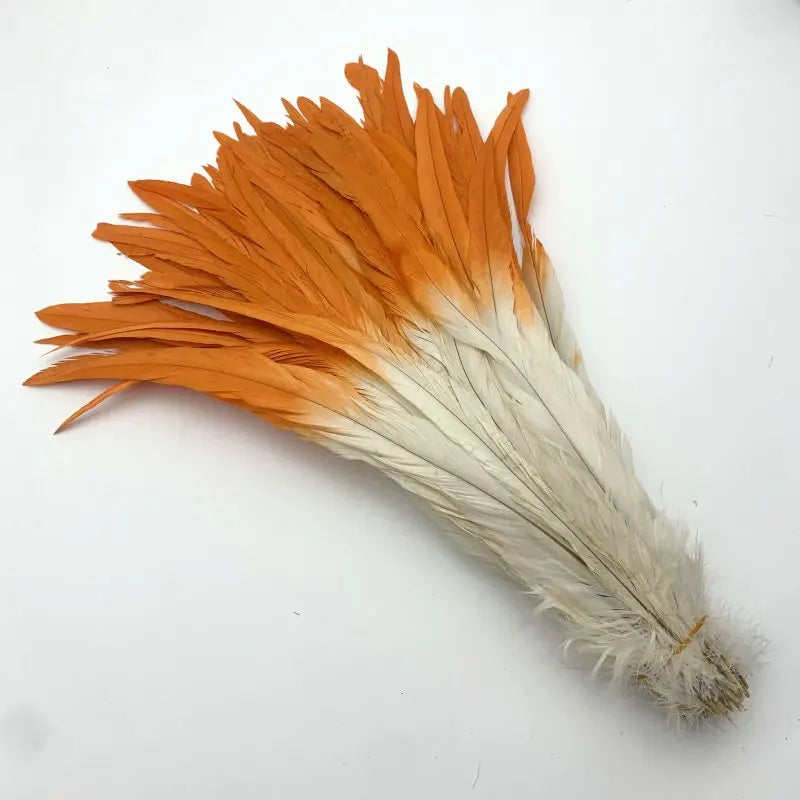 50PCS Two-Tone Rooster Tail Feathers (35-40CM)