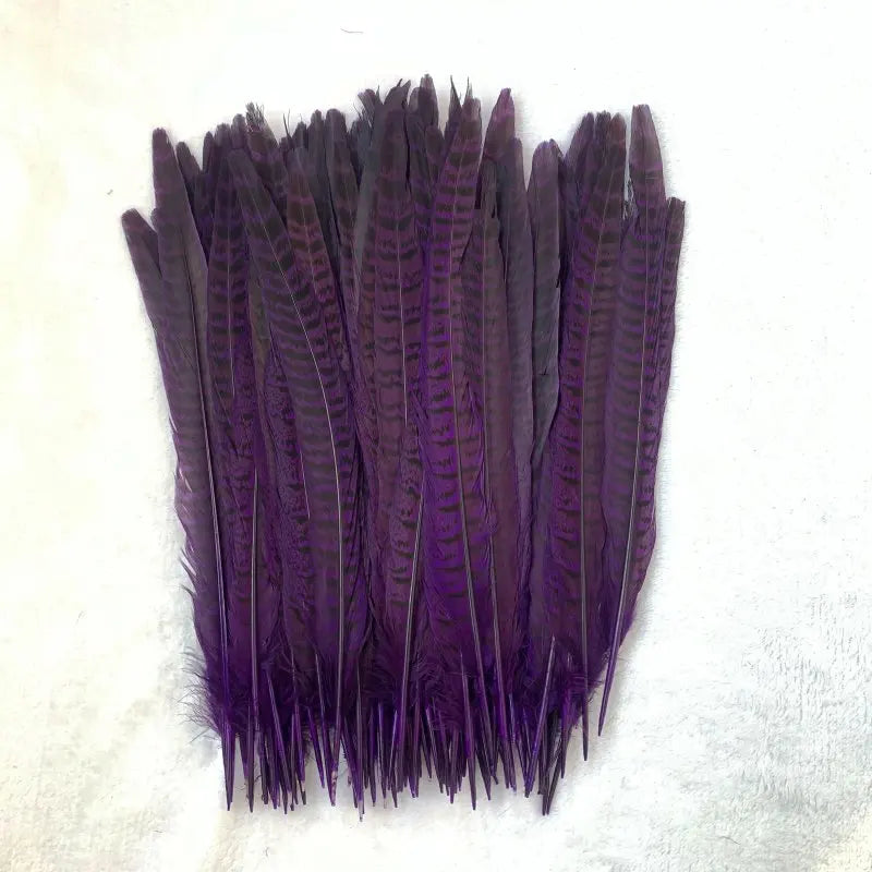 Natural Female Pheasant Tail Feathers (10pcs/lot)