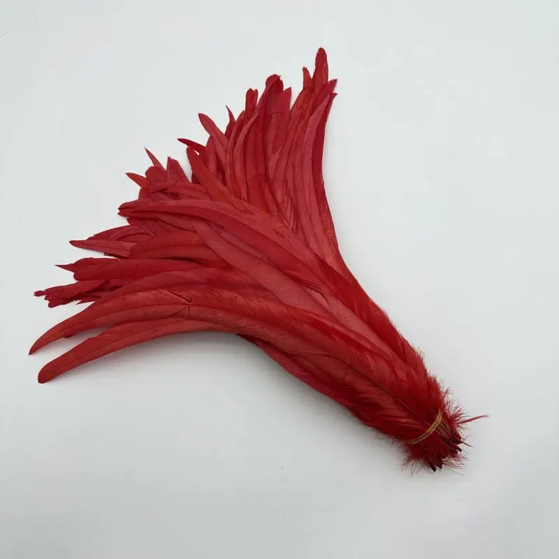 50PCS Two-Tone Rooster Tail Feathers (35-40CM)