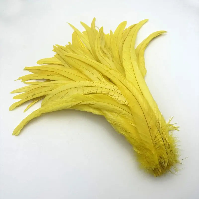 50PCS Two-Tone Rooster Tail Feathers (35-40CM)