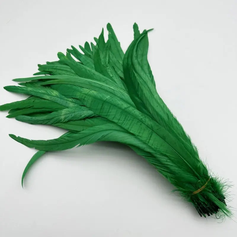 50PCS Two-Tone Rooster Tail Feathers (35-40CM)