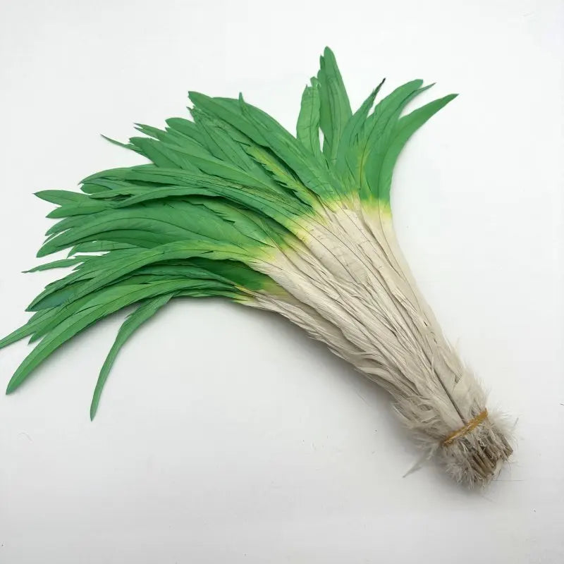 50PCS Two-Tone Rooster Tail Feathers (35-40CM)