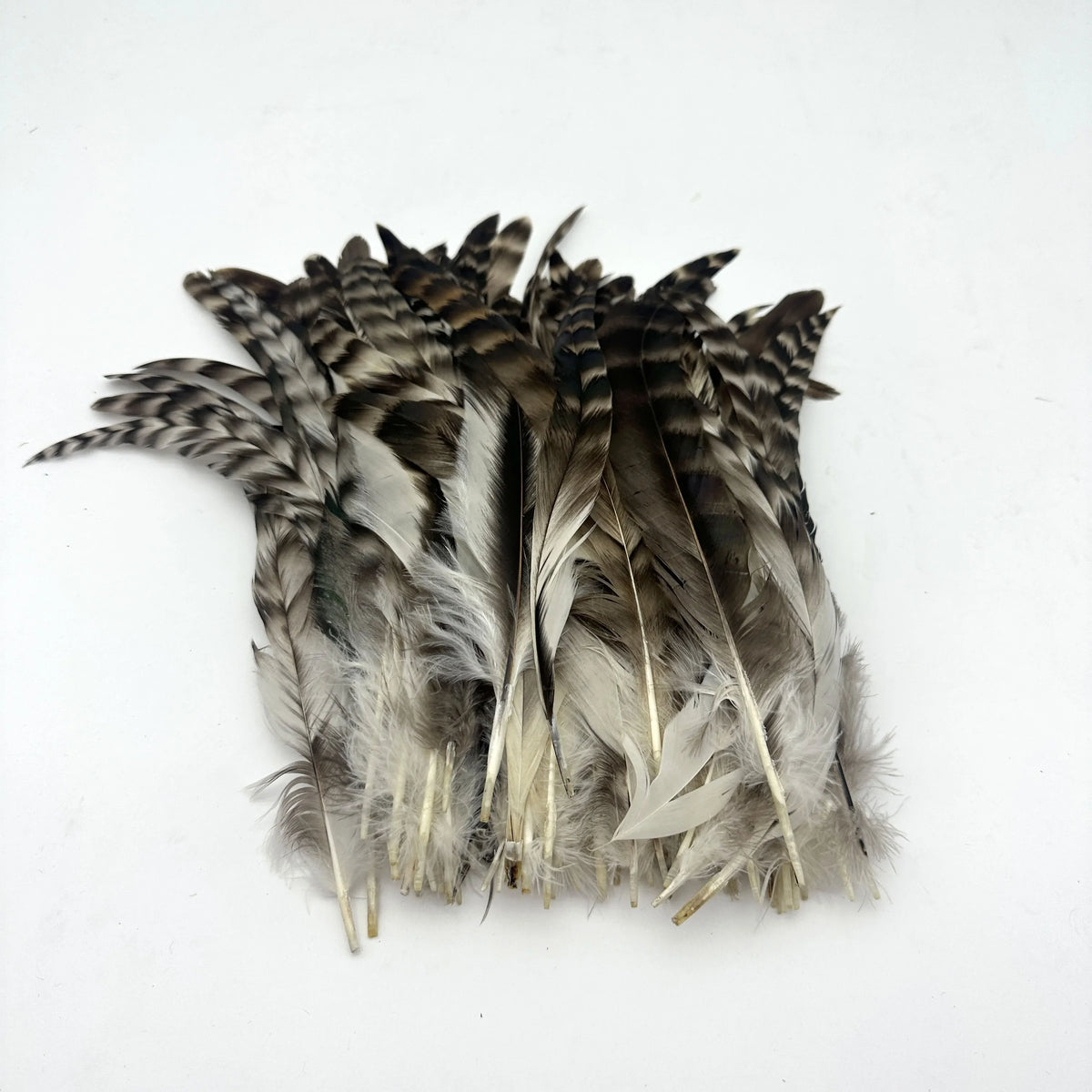 100PCS Natural Barred Rooster Tail Feathers (15-45CM)