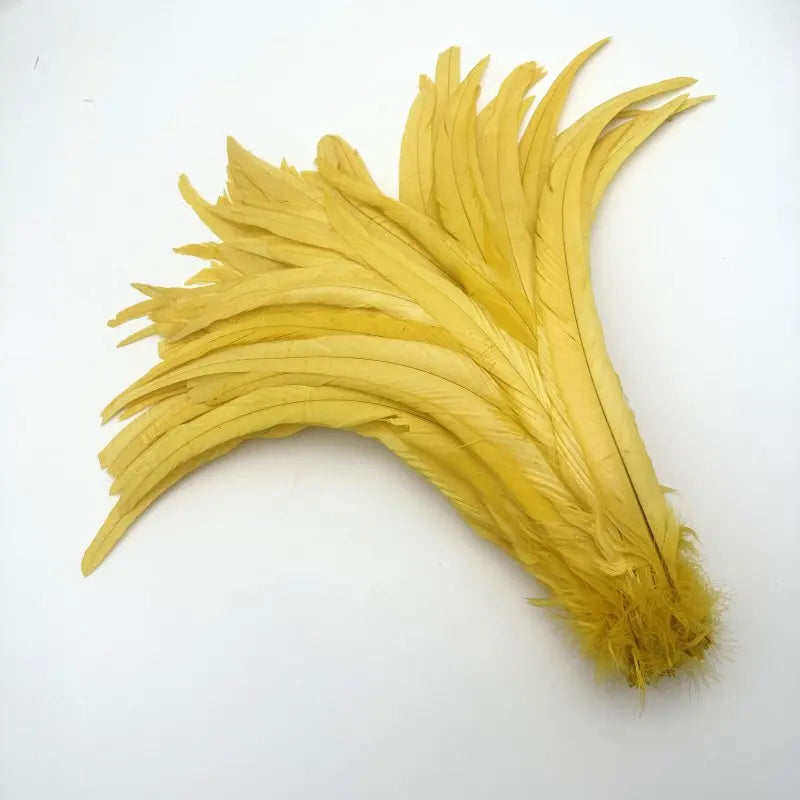 50PCS Two-Tone Rooster Tail Feathers (35-40CM)