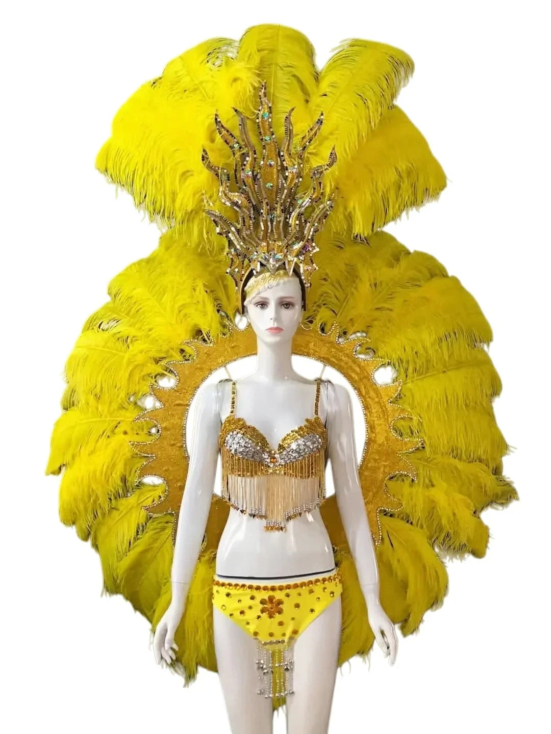 Feathered Carnival Headdress and Backpack Wing Set