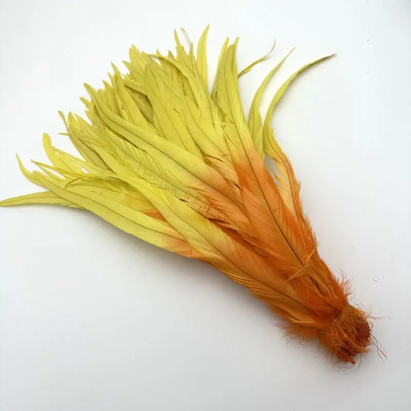 50PCS Two-Tone Rooster Tail Feathers (35-40CM)
