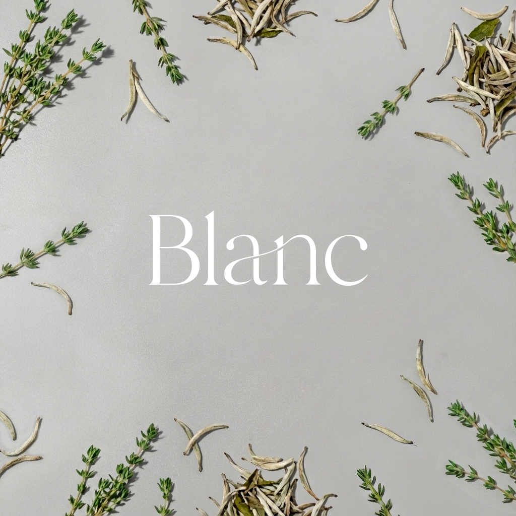 A/C Scenting System Pro Kit | Blanc Doctor Aromas