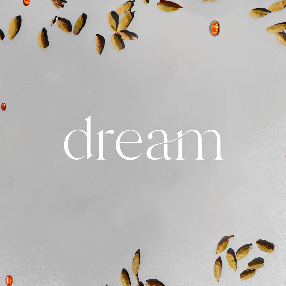 A/C Scenting System Pro Kit | Dream Doctor Aromas