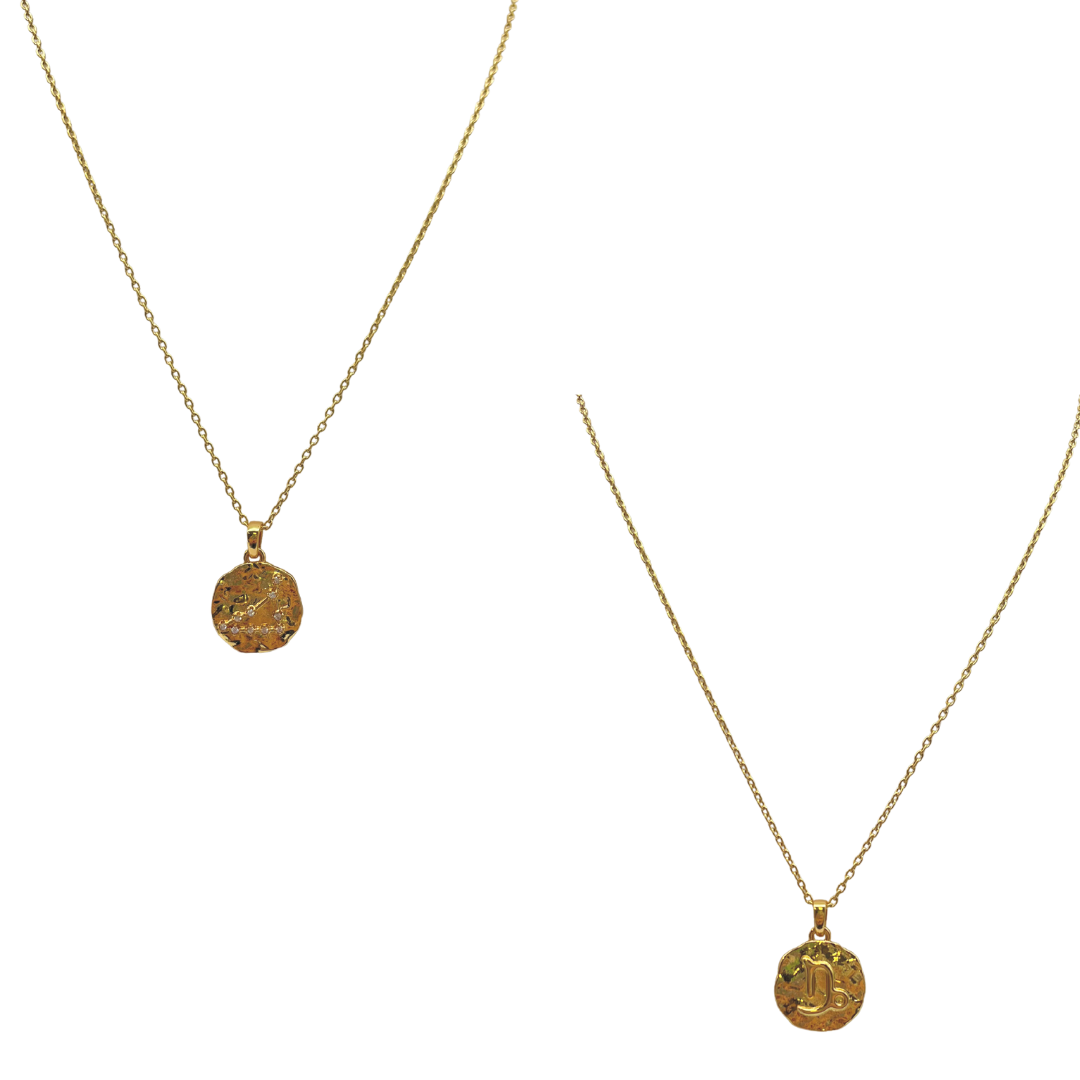 Zodiac Constellation Coin