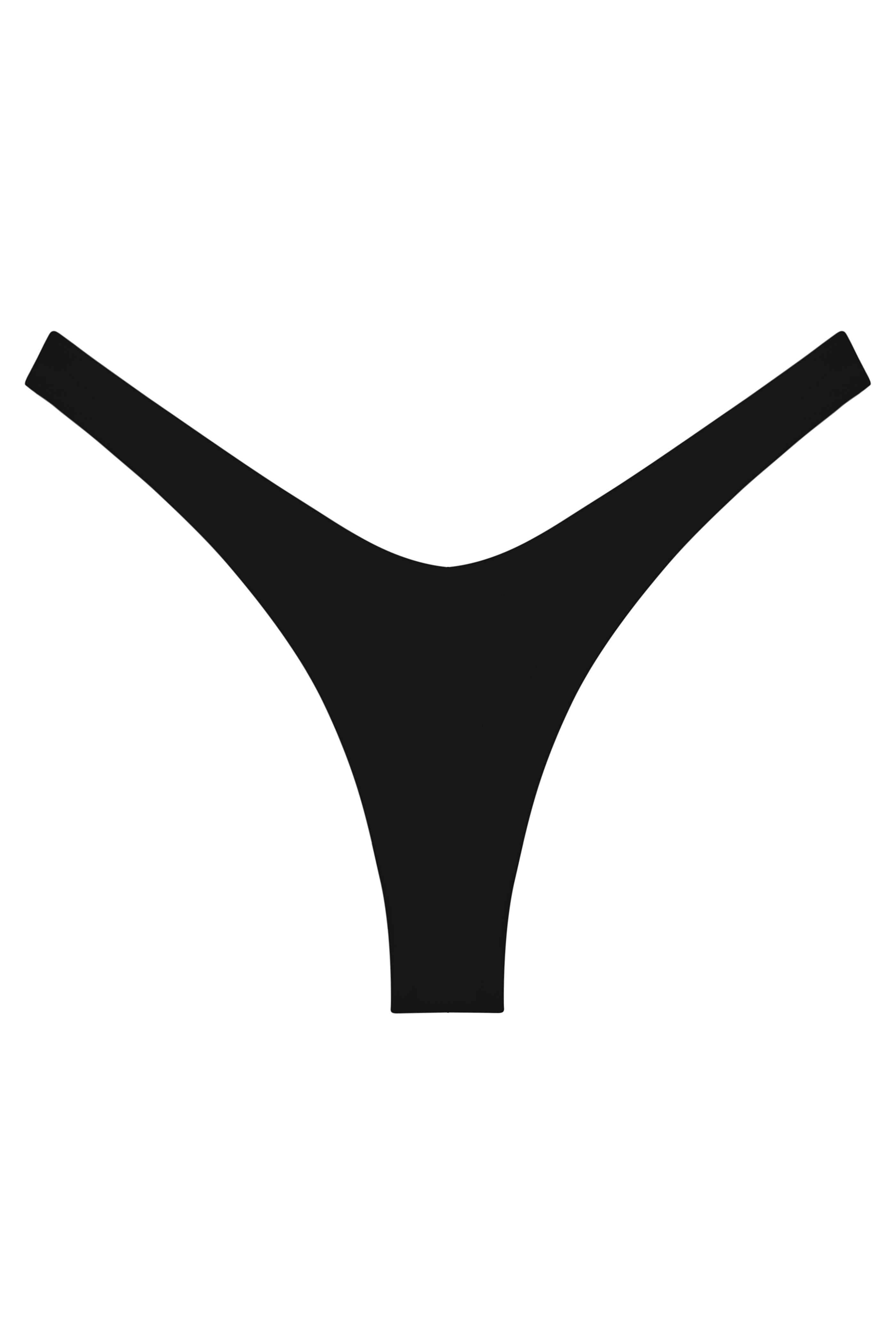 Ludisia Bottom NIKOZA