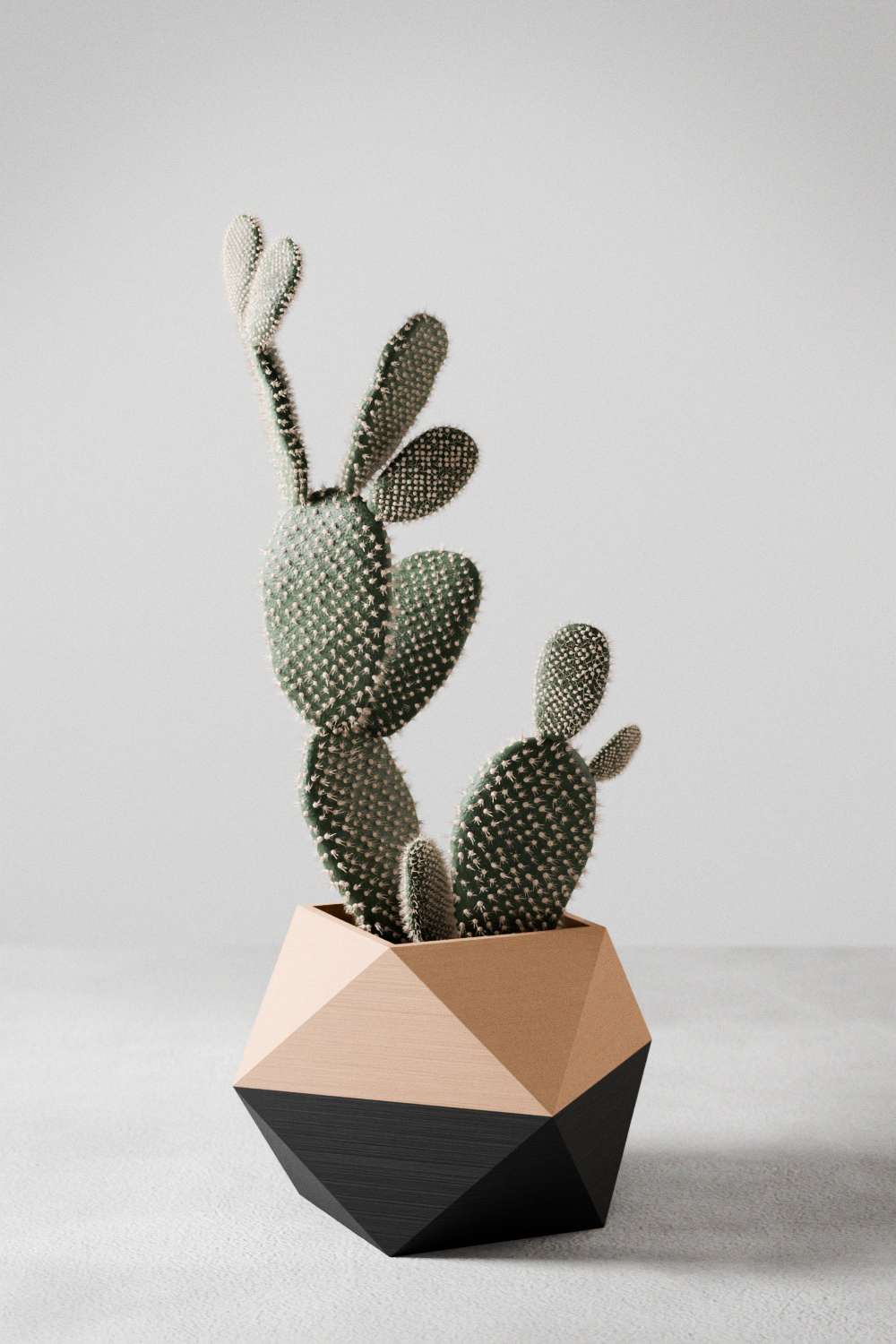 MODERNIZED-POTTERY LUXLIFE BRANDS