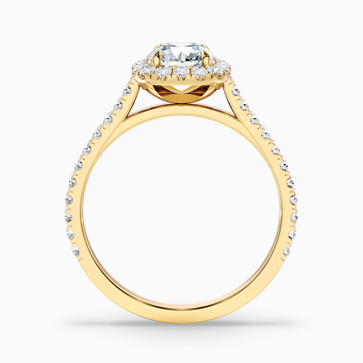 Anika 4 Carat Round Halo Pave Moissanite Diamond Ring in 10k White Gold