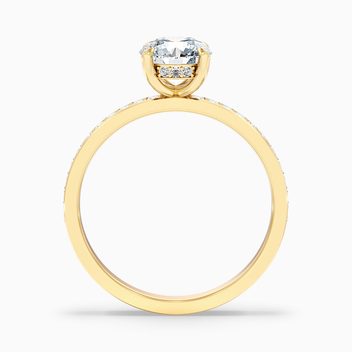 Julia 1 Carat Round Hidden Halo Pave Moissanite Diamond Ring in 10k White Gold