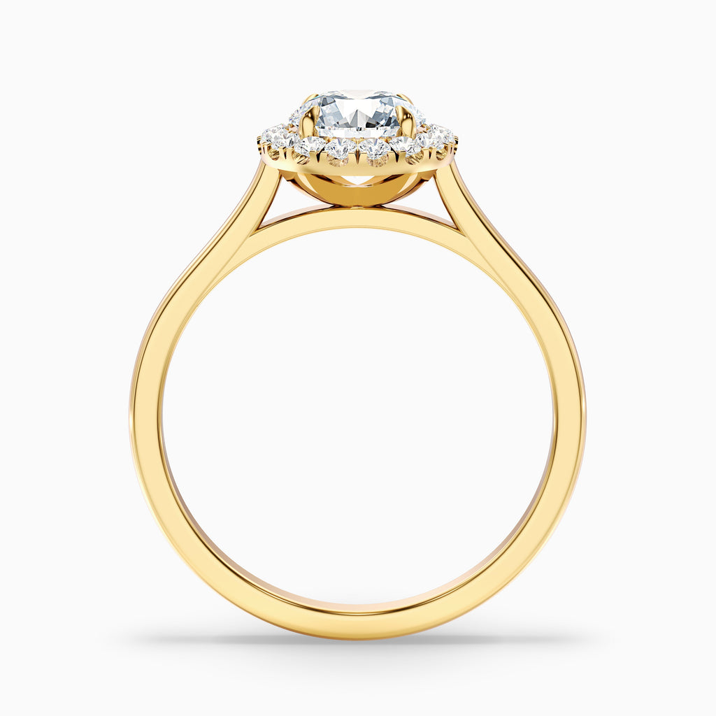 Iva 4.5 Carat Round Halo Moissanite Diamond Ring in Platinum