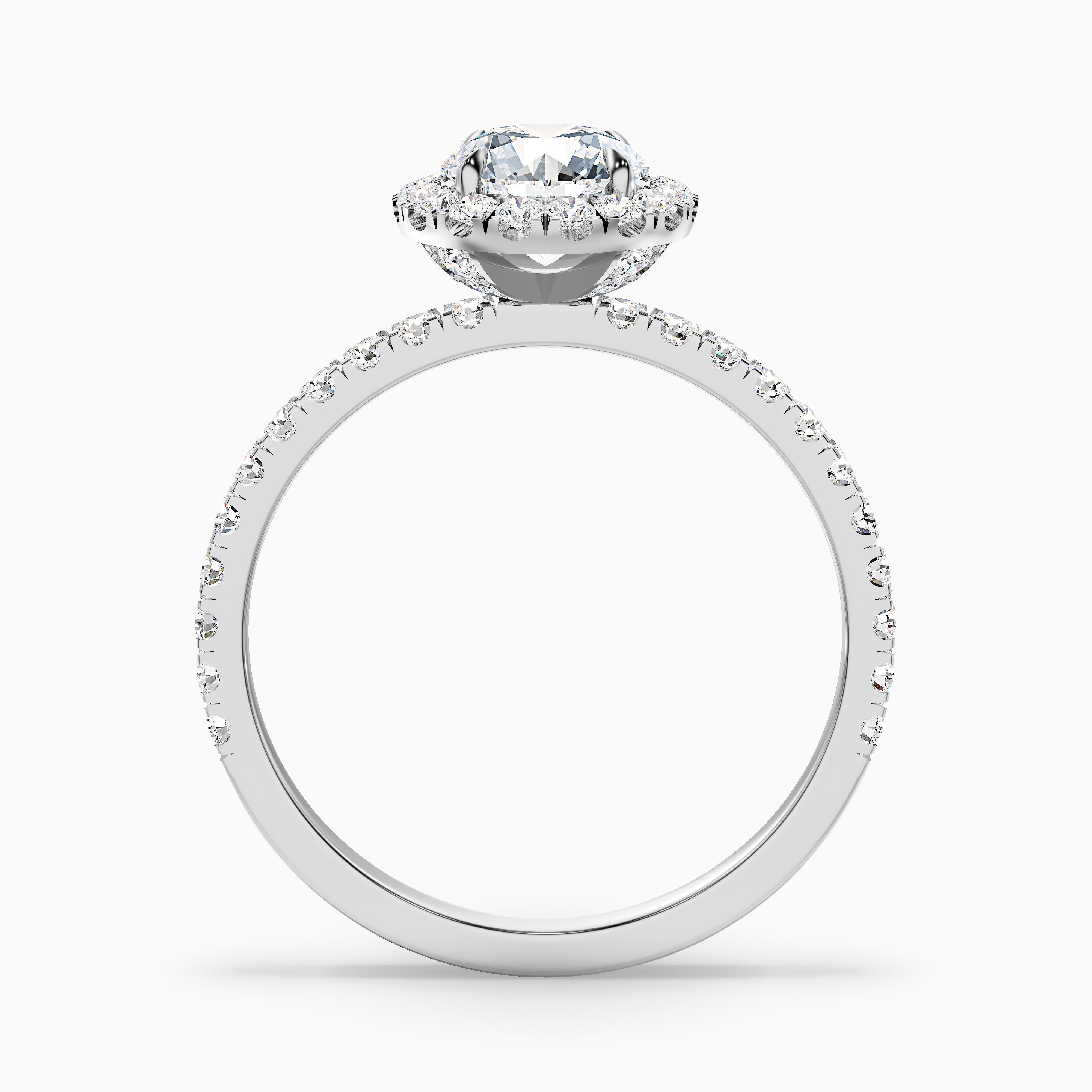Hailey 5 Carat Round Cut Halo Moissanite Engagement Ring in 14k White Gold
