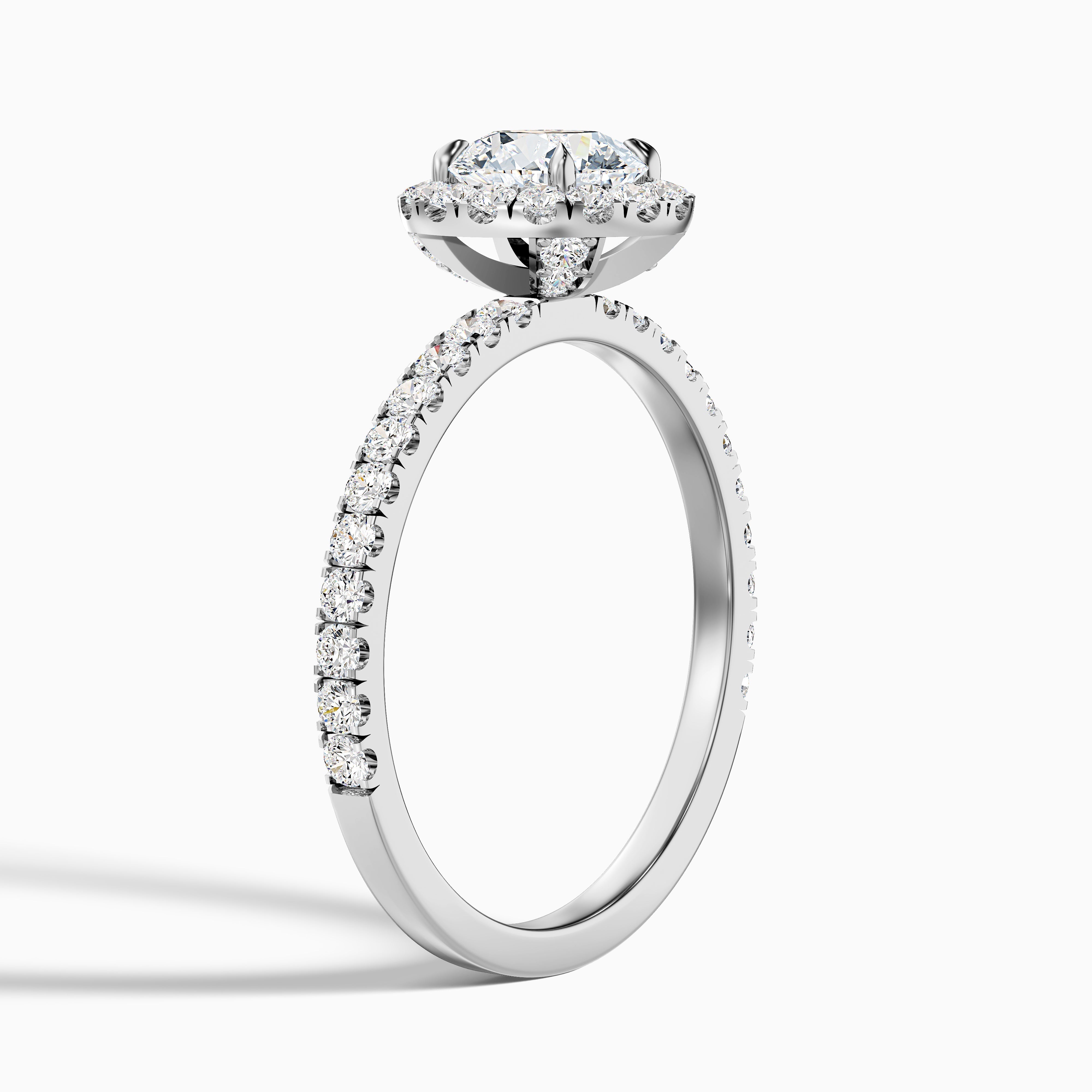 Hailey 4 Carat Round Cut Halo Moissanite Engagement Ring in Platinum