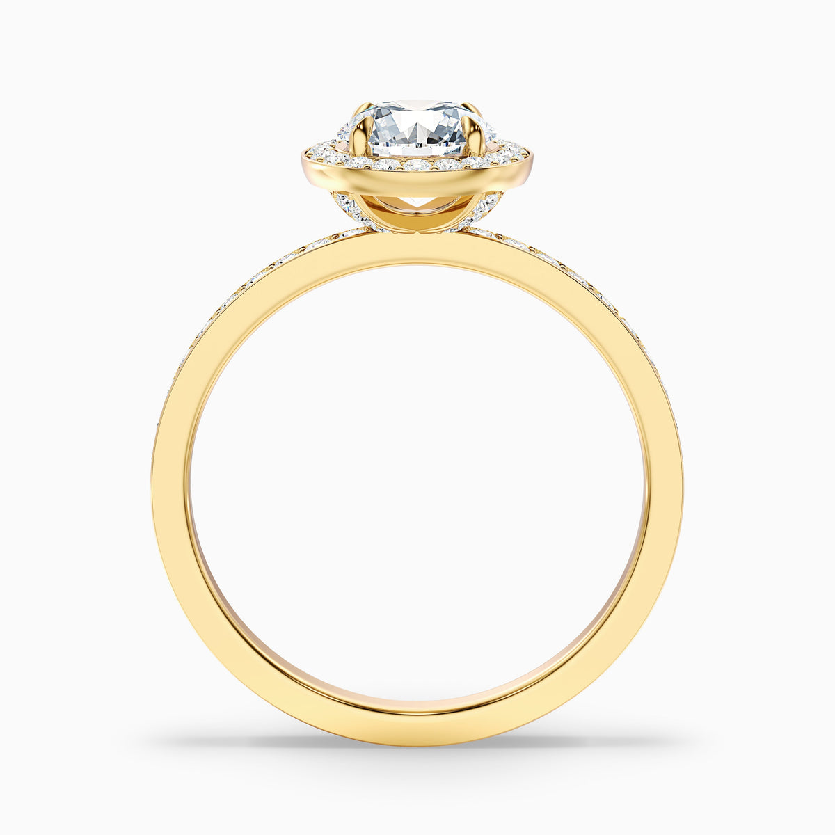 Nyra 4 Carat Round Halo Pave Moissanite Engagement Ring in 10k White Gold
