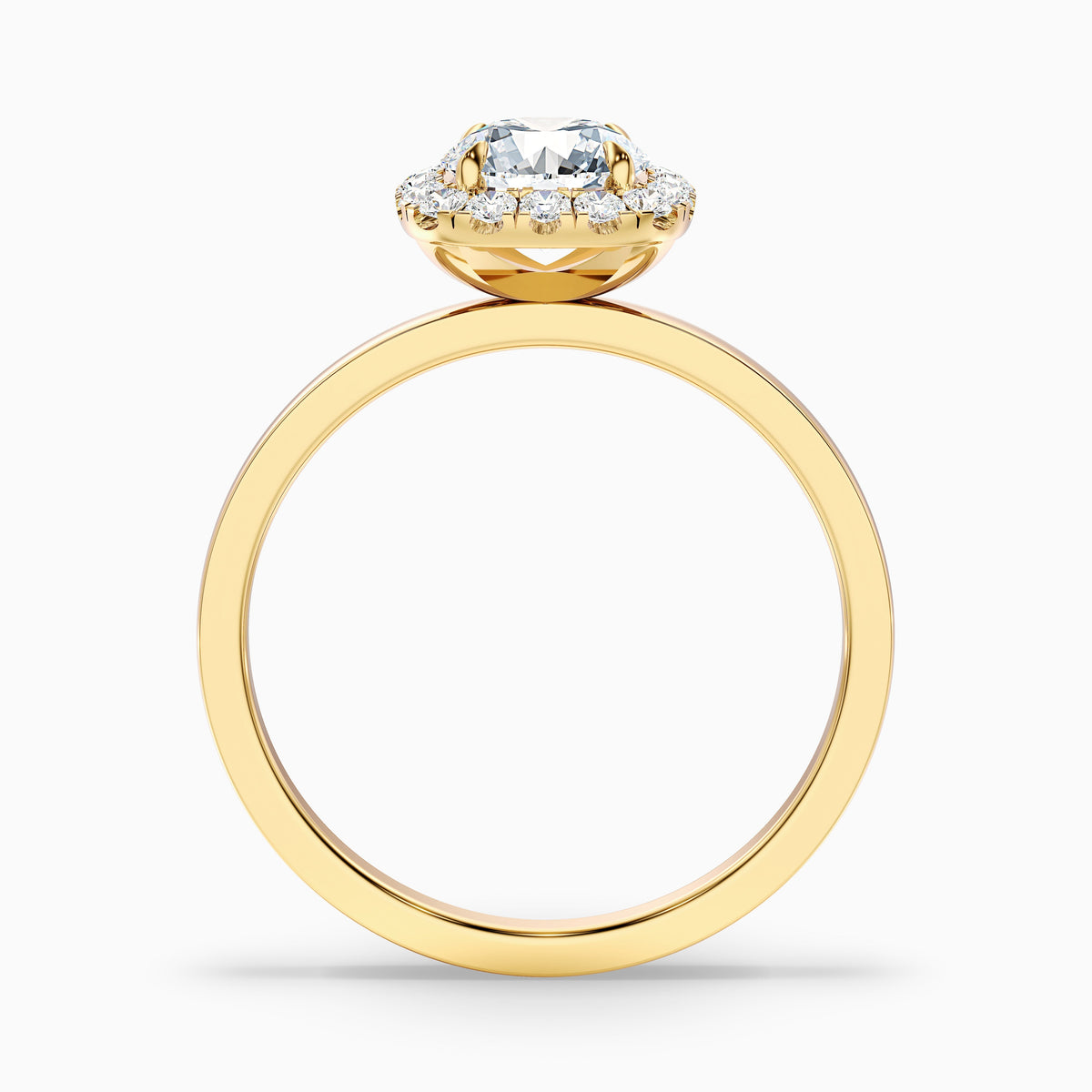 Anya 4 Carat Round Cut Halo Moissanite Engagement Ring in 14k White Gold