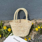 Fresh Straw Bag Portable Cute Woven Bag Small Clutch Korean Small Basket Women Bag Bella Mia