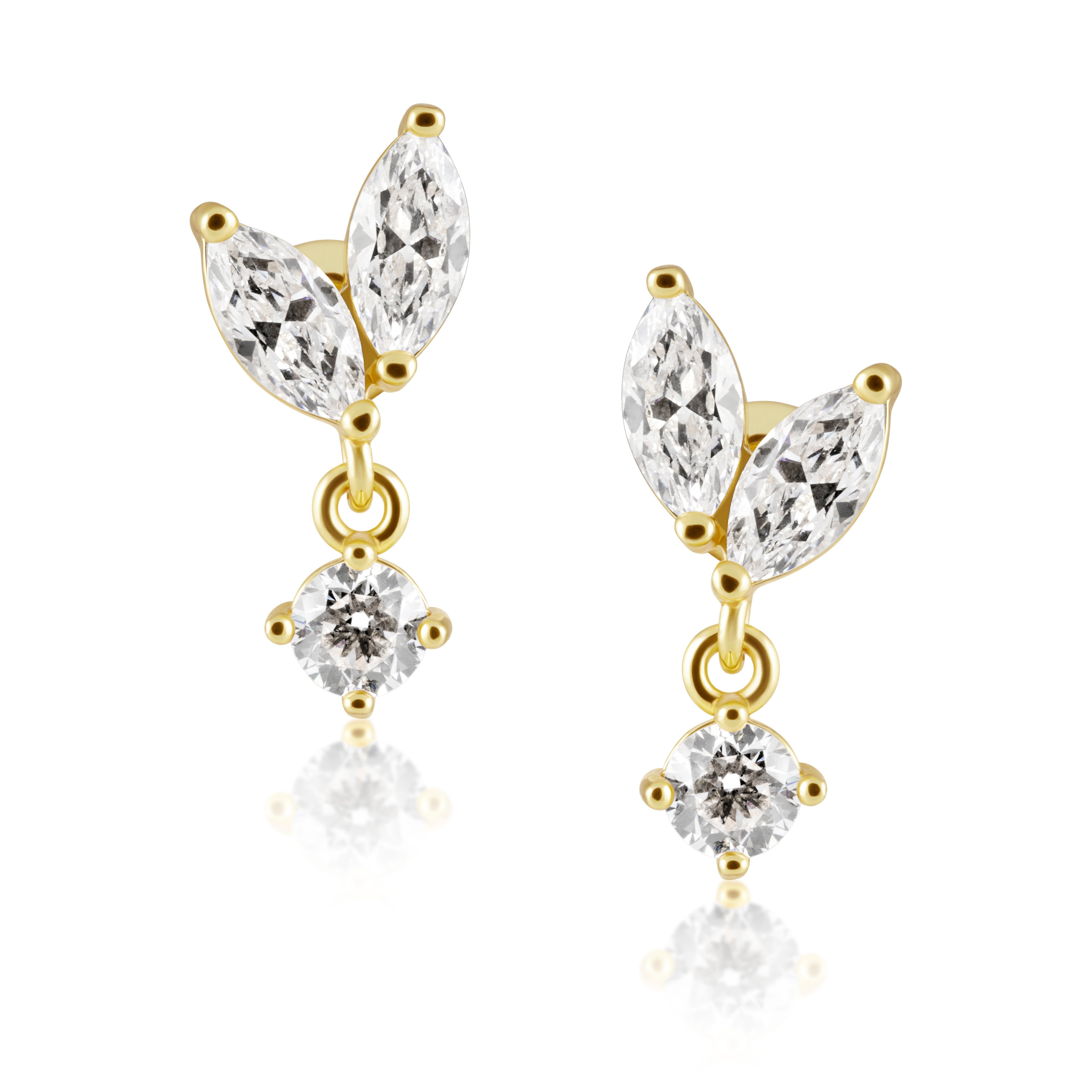 Bella Cz Stud