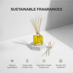 Reed Diffuser Doctor Aromas