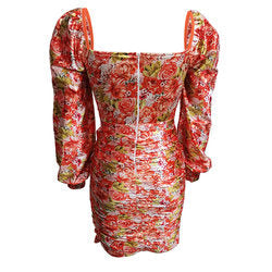 Long Sleeve Printed Sexy Dress Women Clothing Spring Autumn Bella Mia
