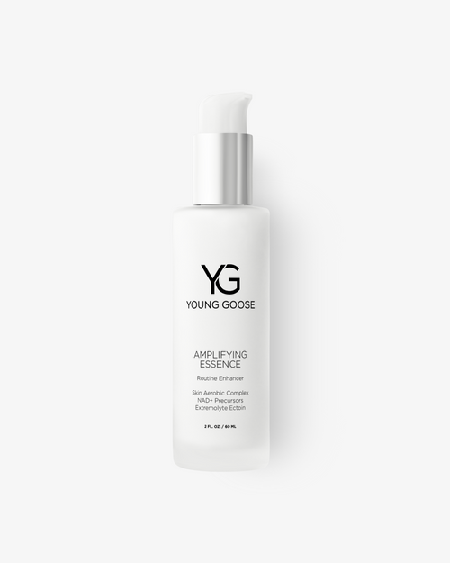 AMPLIFYING ESSENCE Young Goose