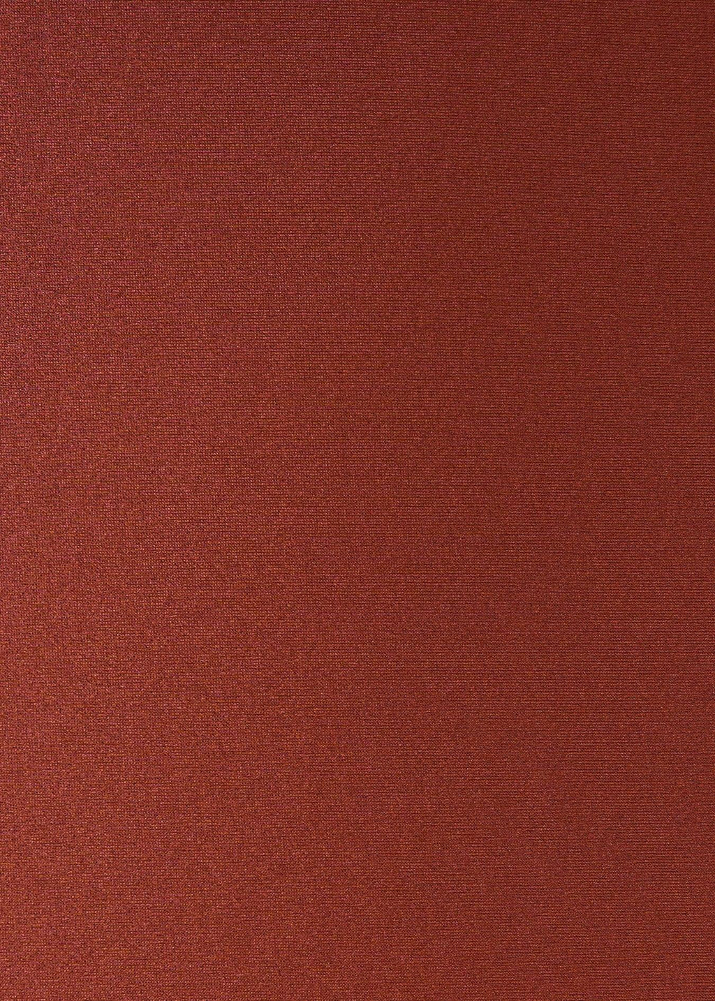 Copper Long Sleeve Top