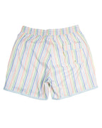Rainbow Row Swim Trunks for Men-FINAL SALE Smockingbird
