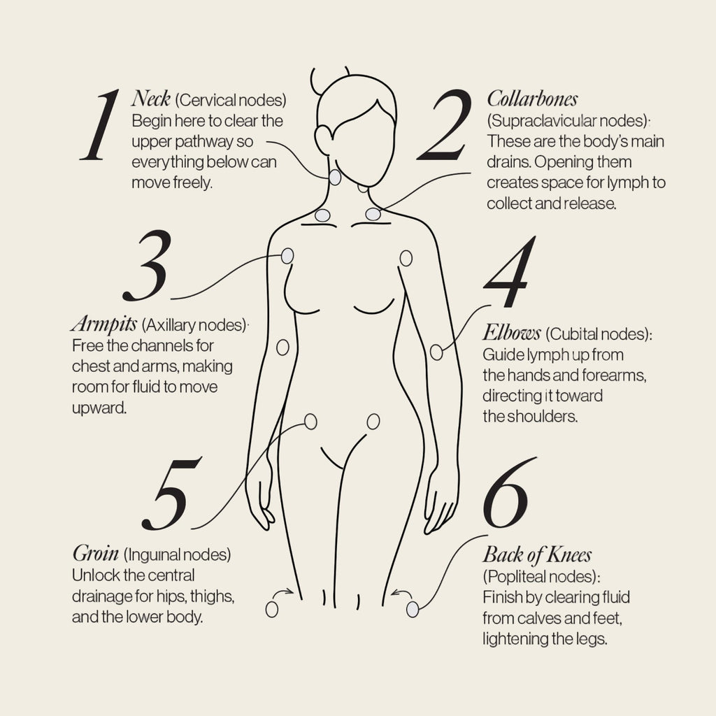 Lymphatic Drainage Dots Esker
