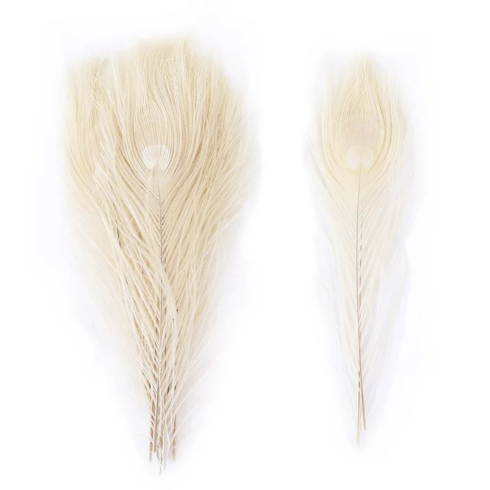 Premium Peacock Eye Feathers 10PC