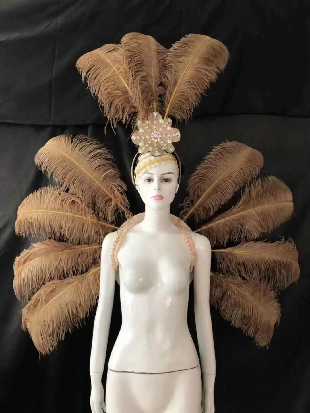 Feather Backpiece and Plume Headdress Set