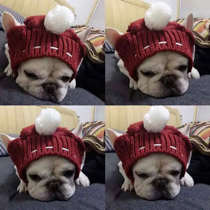 Best Friend Handmade Puppy Snowball Hat LUXLIFE BRANDS