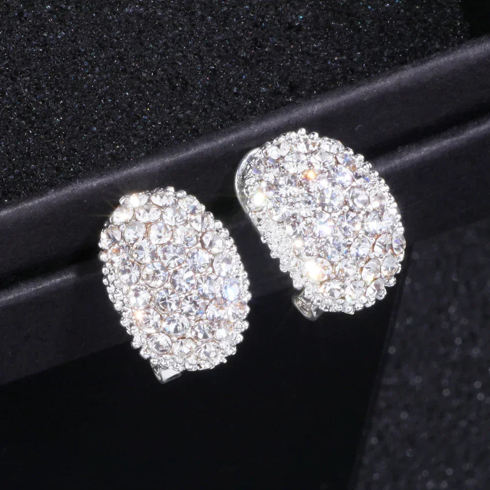 Romantic AAA Cubic Zirconia Stone Stud Earrings LUXLIFE BRANDS