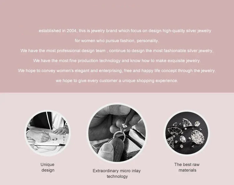 925 Sterling Silver AAA Zircon Water Drop Earrings