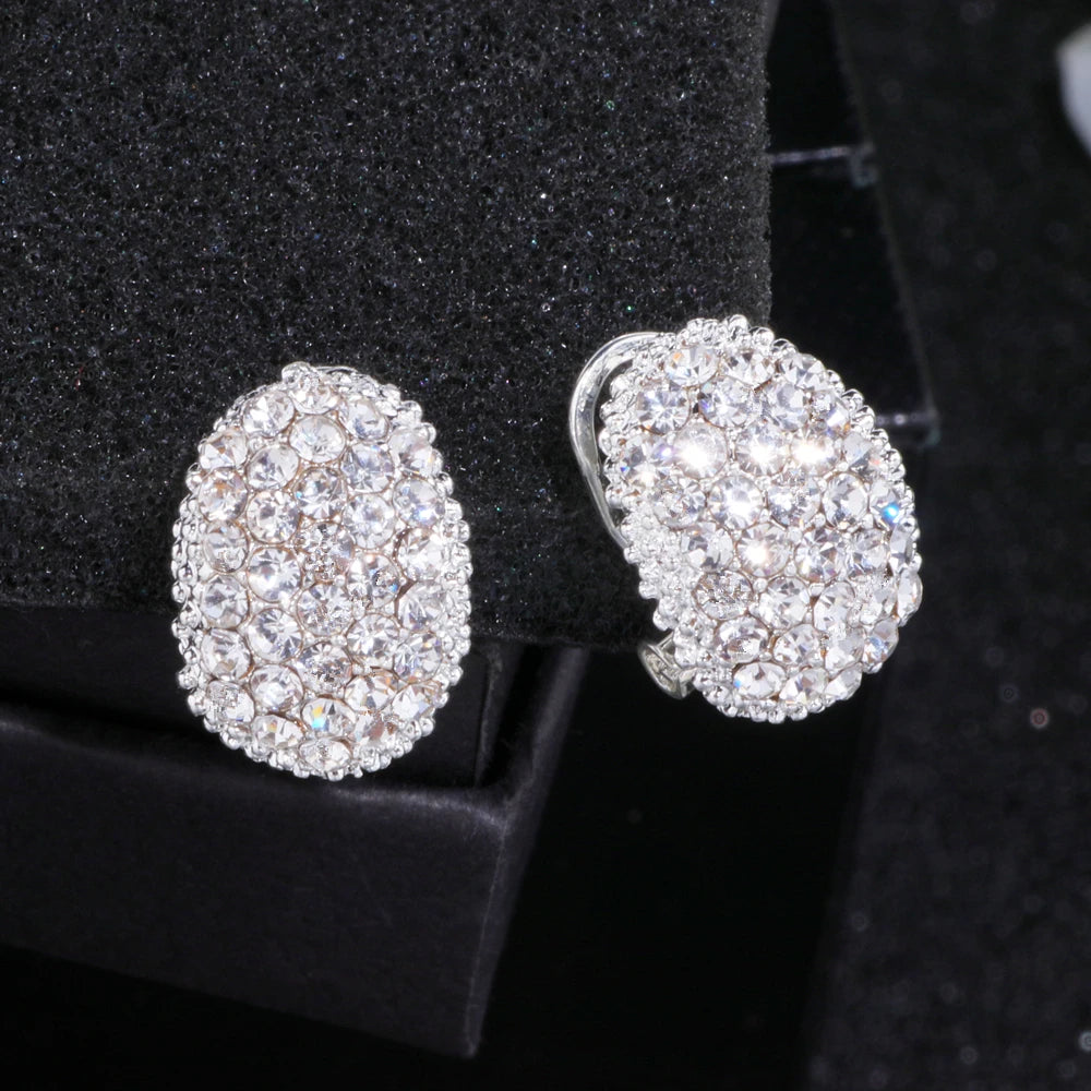 Romantic AAA Cubic Zirconia Stone Stud Earrings LUXLIFE BRANDS