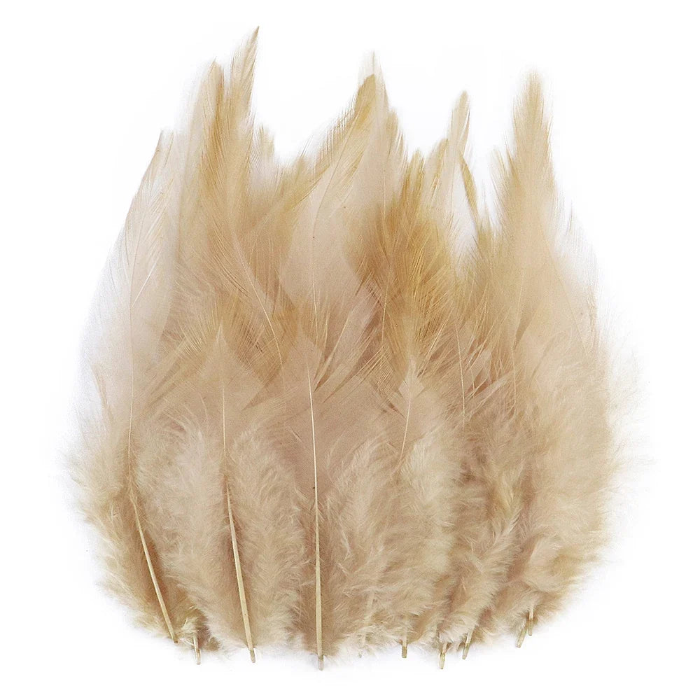 Natural Pheasant & Chicken Craft Feathers Bulk Lot