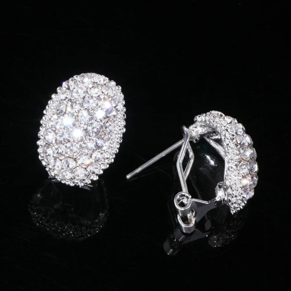 Romantic AAA Cubic Zirconia Stone Stud Earrings LUXLIFE BRANDS