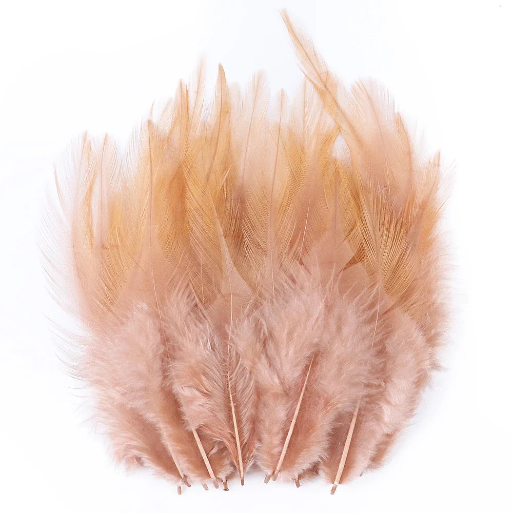 Natural Pheasant & Chicken Craft Feathers Bulk Lot