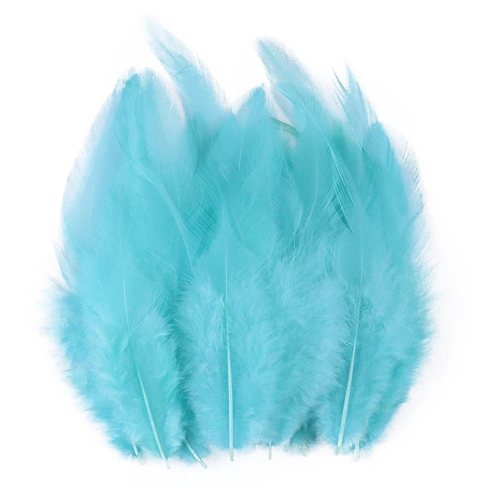 Natural Pheasant & Chicken Craft Feathers Bulk Lot