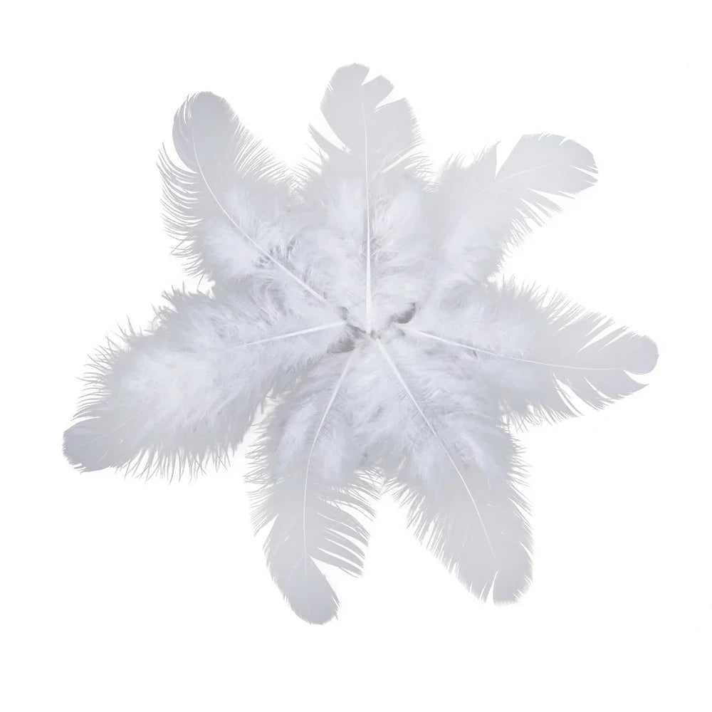 Natural Rooster Craft Feathers Bulk Lot
