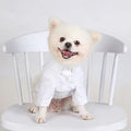 Dog Hoodie pomeranian puppy clothes Cotton yorkshire terrier LUXLIFE BRANDS