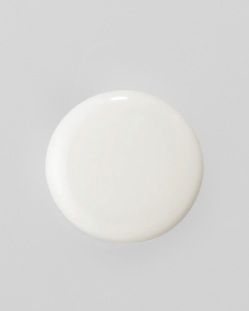 AMPLIFYING ESSENCE Young Goose