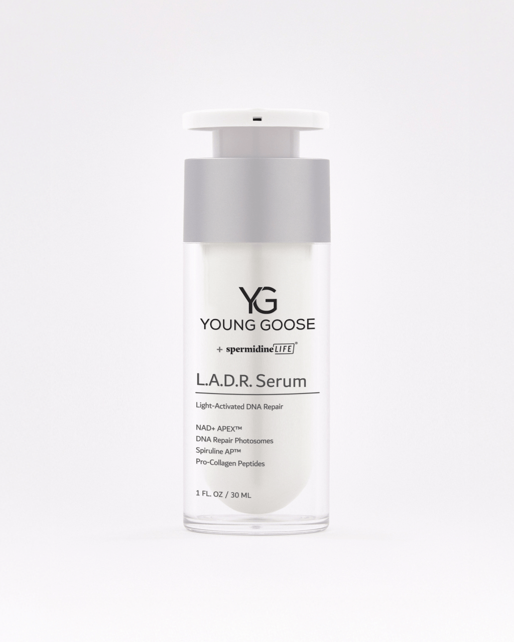 L.A.D.R. Young Goose