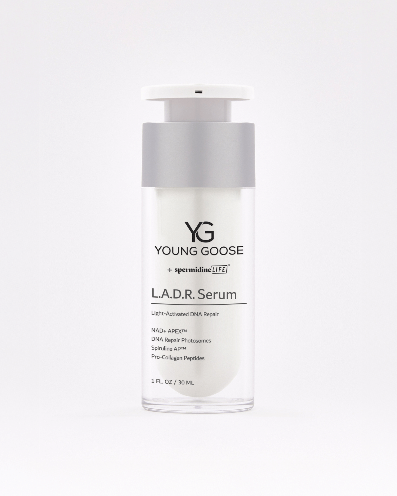L.A.D.R. Young Goose