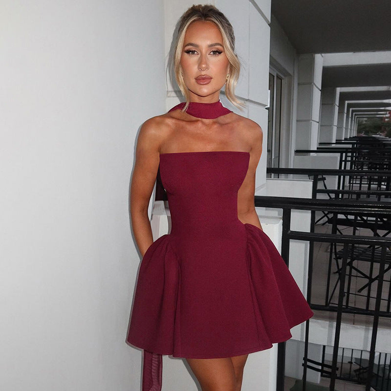 Women Clothing Winter Sexy Back Zipper Tube Top Short Type Dress Bella Mia